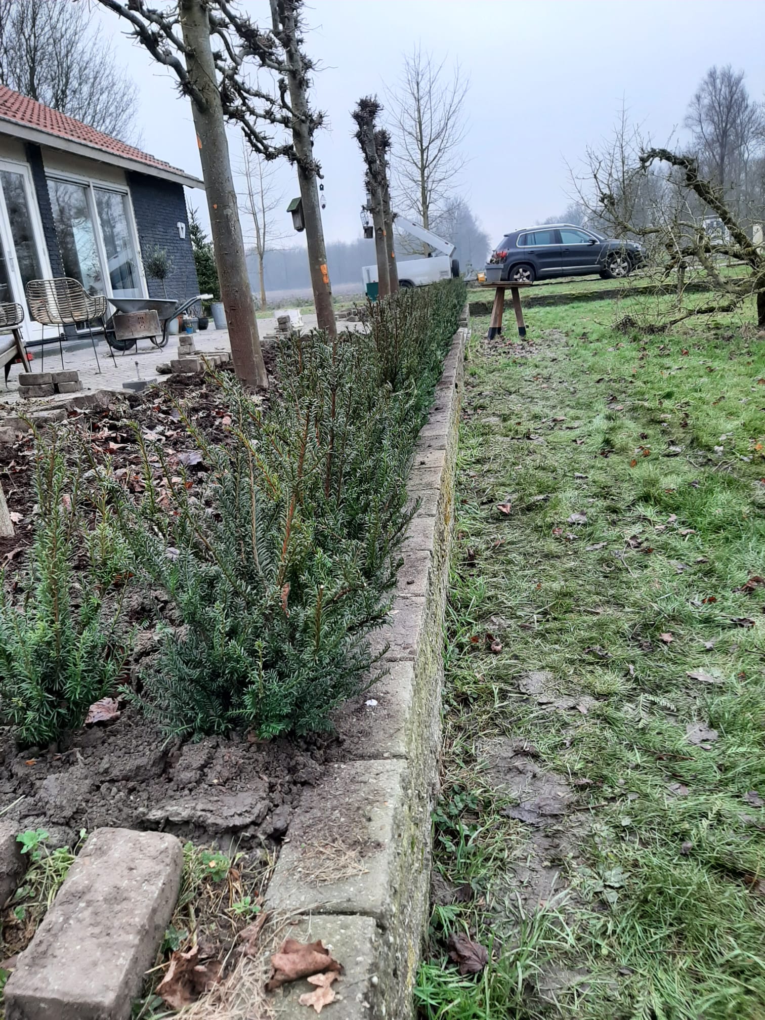 Taxus baccata W(wortelgoed) met vlinder- en bijenlokkers geplant in Biddinghuizen