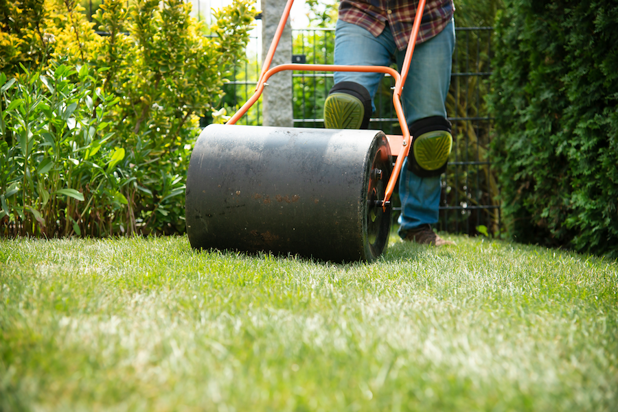 Graszoden speelweide premium